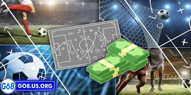 Thể thao Go8 Kinh nghiệm cá cược thể thao Go8