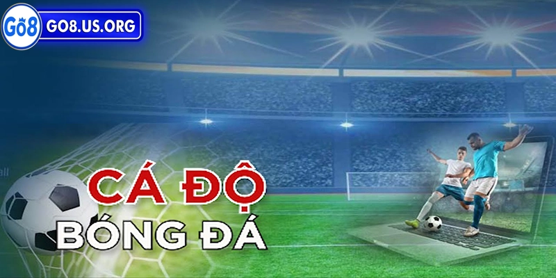 Cá Độ Bóng Đá Online - Cách Chơi Và Những Lưu Ý Quan Trọng Các cược bóng đá online - dễ dàng, nhanh chóng